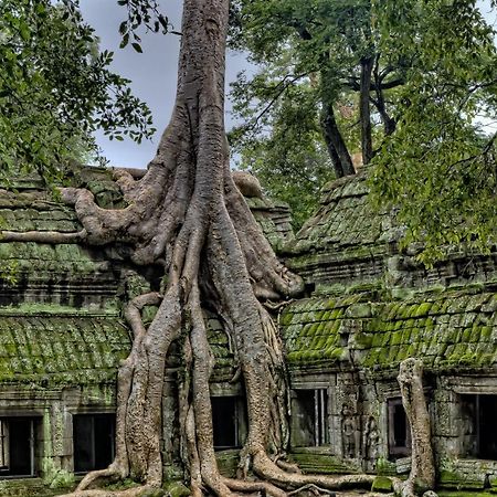 Golden Temple Residence Siem Reap Zewnętrze zdjęcie Banteay Srei