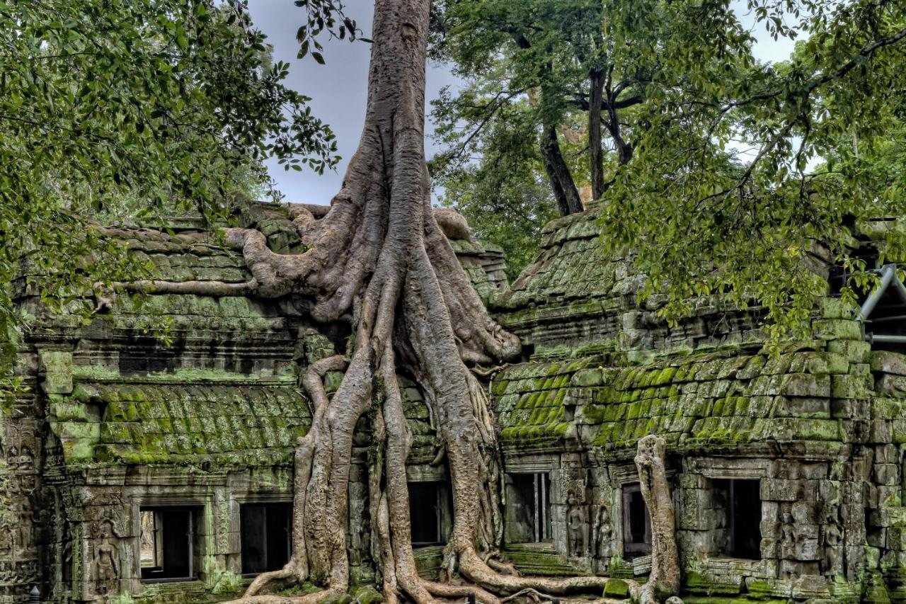 Golden Temple Residence Siem Reap Zewnętrze zdjęcie Banteay Srei